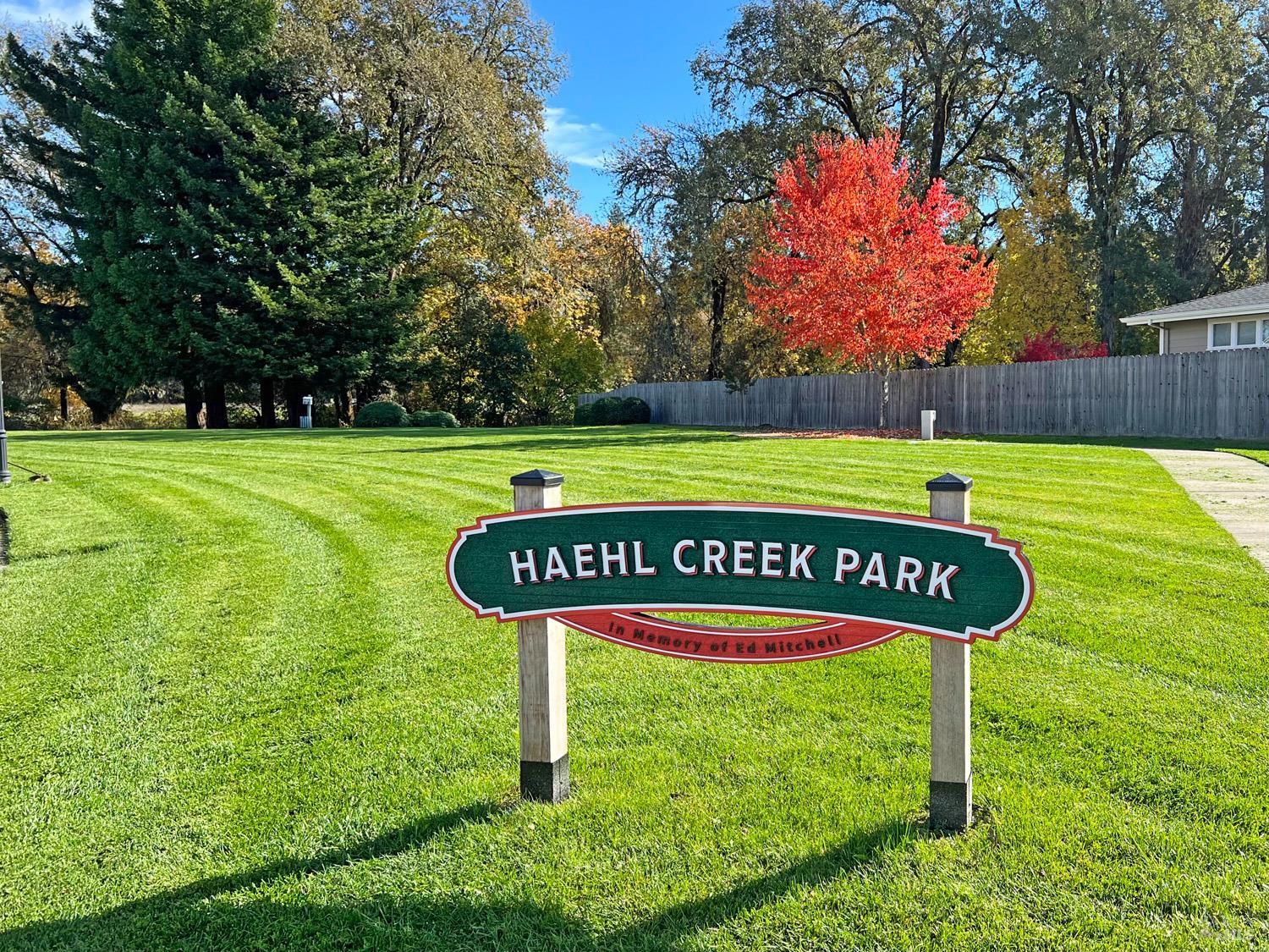 205 Haehl Creek Court Willits CA 95490