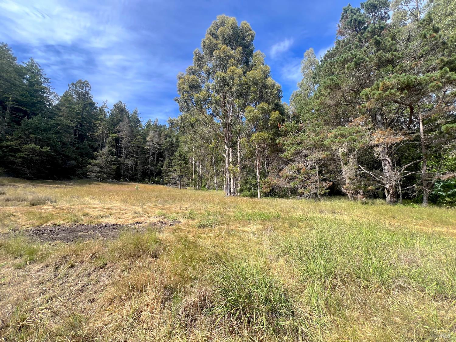 23285 Highway 1 Jenner CA 95450