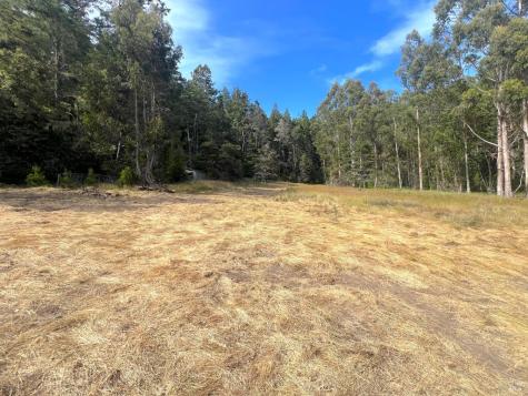 23285 Highway 1 Jenner CA 95450