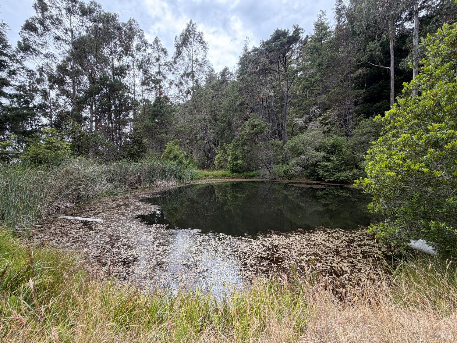 23285 Highway 1 Jenner CA 95450