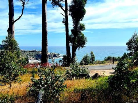 23285 Highway 1 Jenner CA 95450
