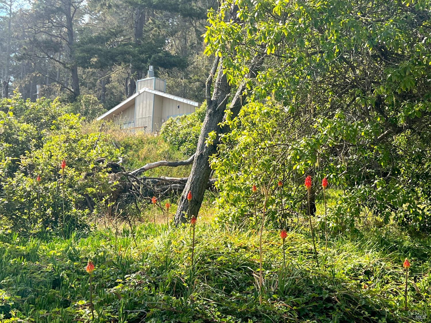 23285 Highway 1 Jenner CA 95450