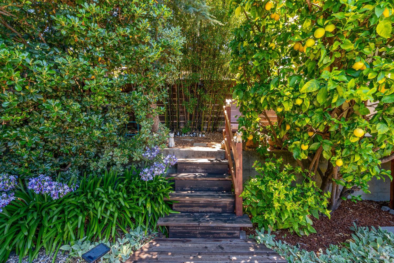 1664 Meek Avenue Napa CA 94559