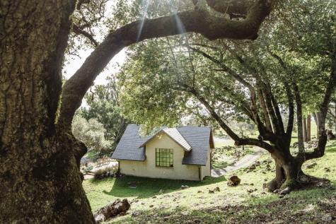 Penngrove CA 94951