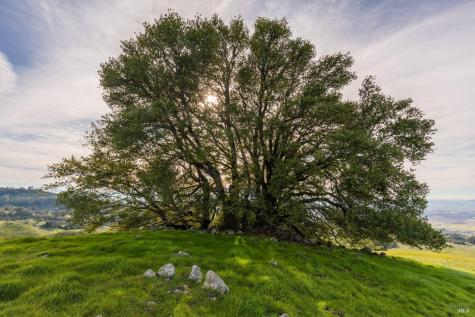 Penngrove CA 94951