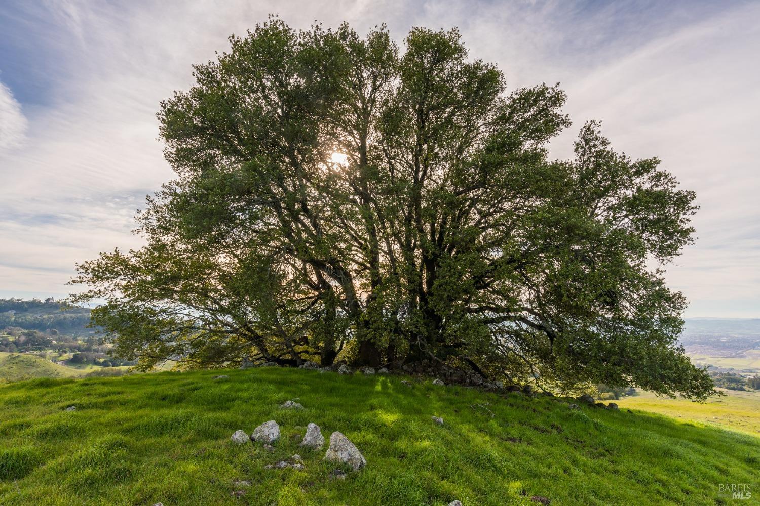 Penngrove CA 94951