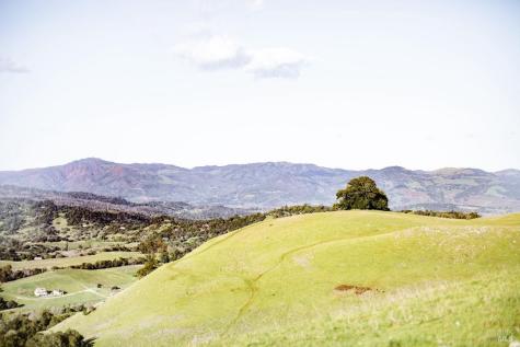 Penngrove CA 94951