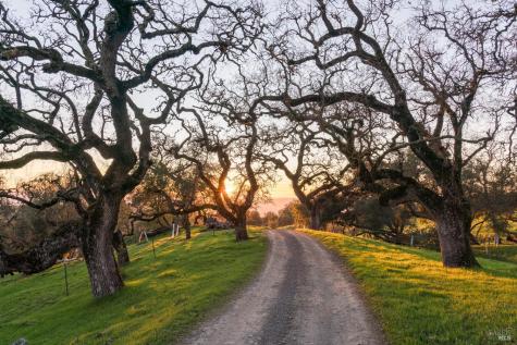 Penngrove CA 94951
