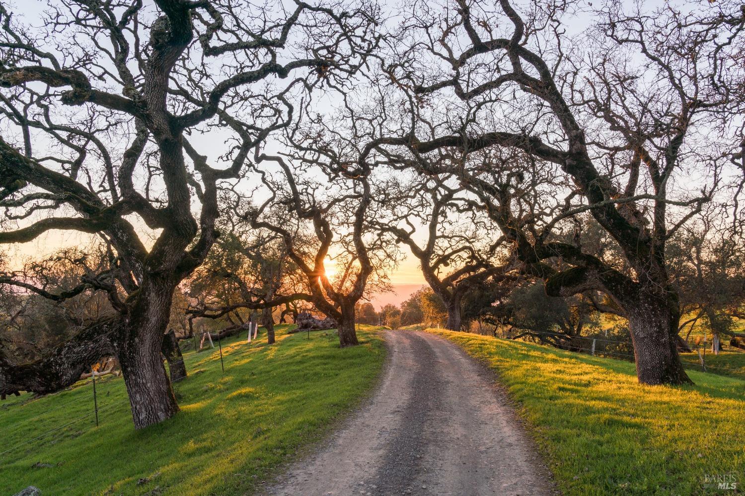 Penngrove CA 94951