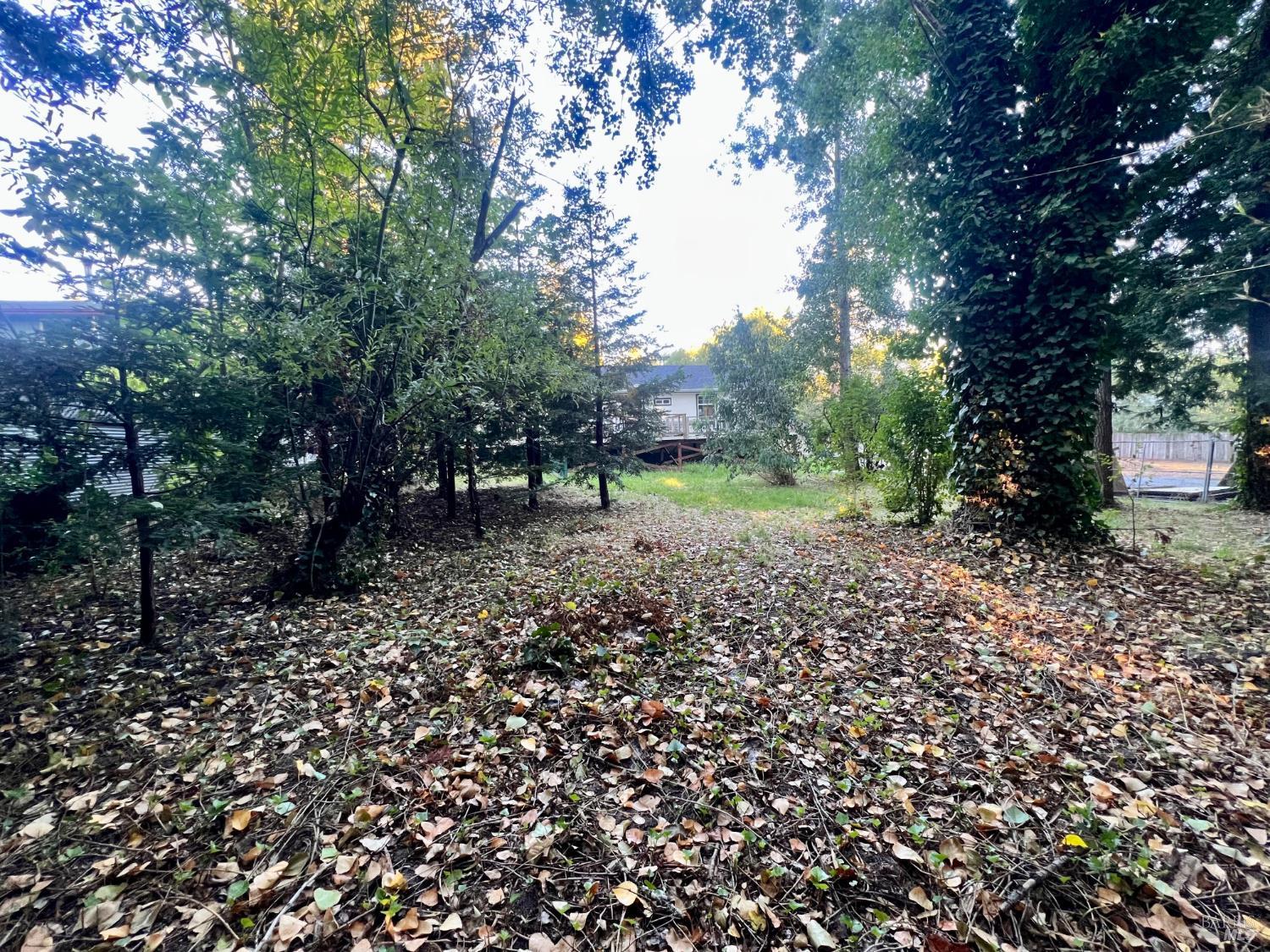 6274 Van Keppel Road Forestville CA 95436