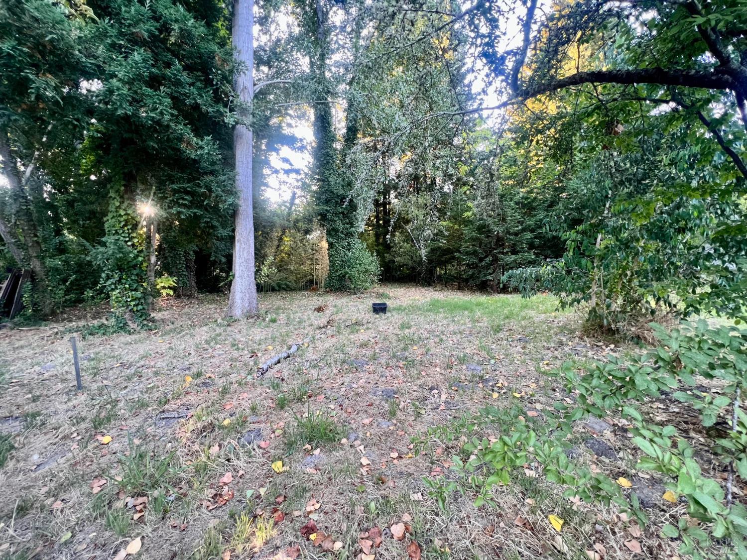 6274 Van Keppel Road Forestville CA 95436