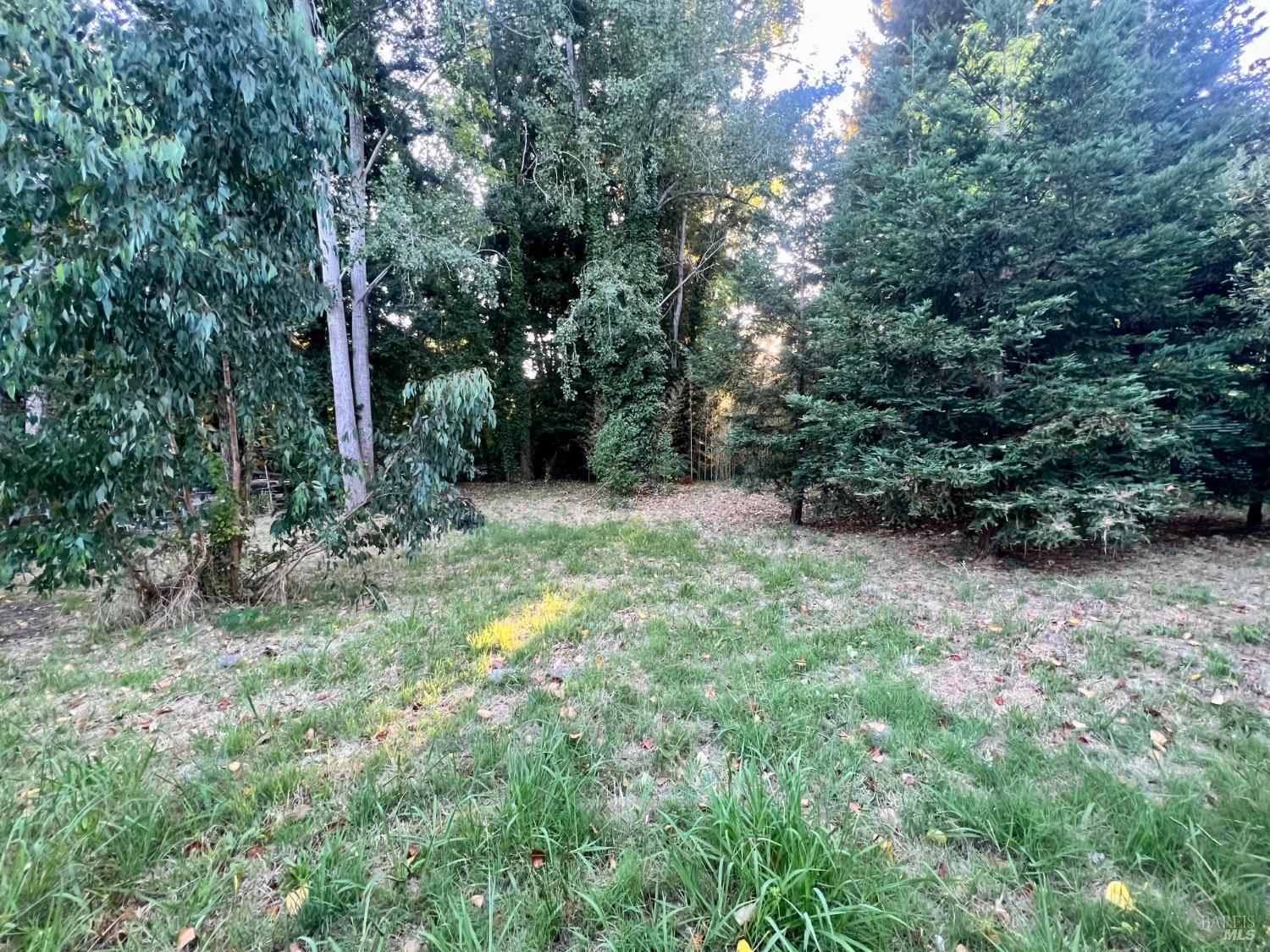 6274 Van Keppel Road Forestville CA 95436