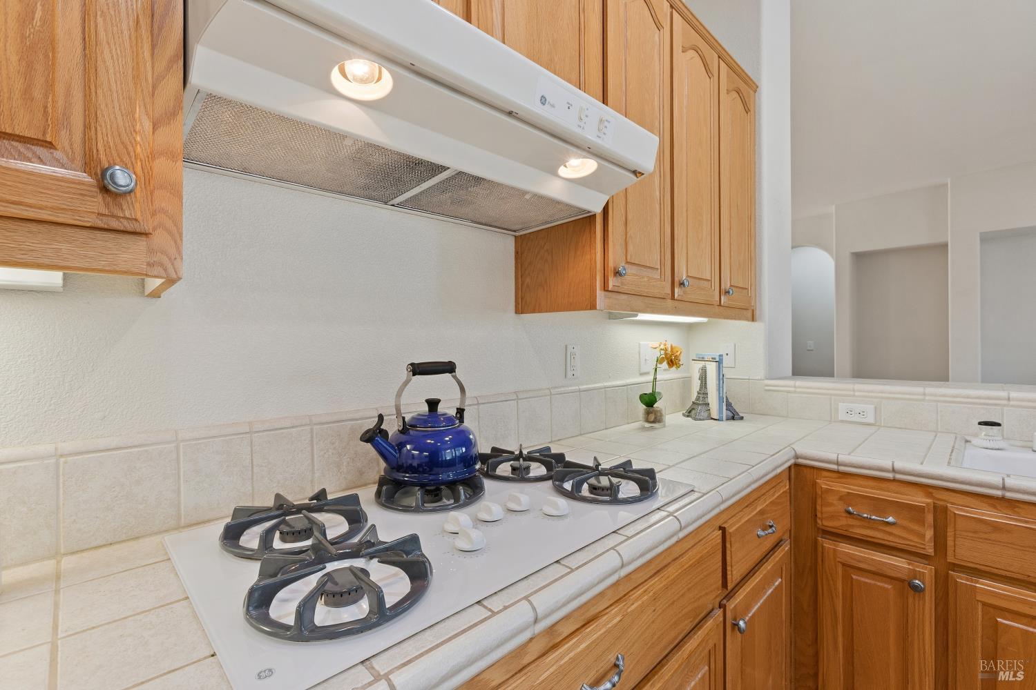 337 Canyon Spring Drive Rio Vista CA 94571