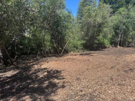 8822 Oak Grove Avenue Sebastopol CA 95472