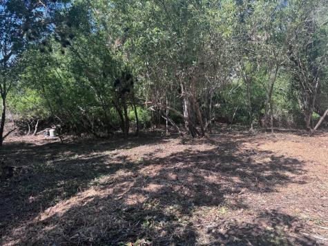 8822 Oak Grove Avenue Sebastopol CA 95472