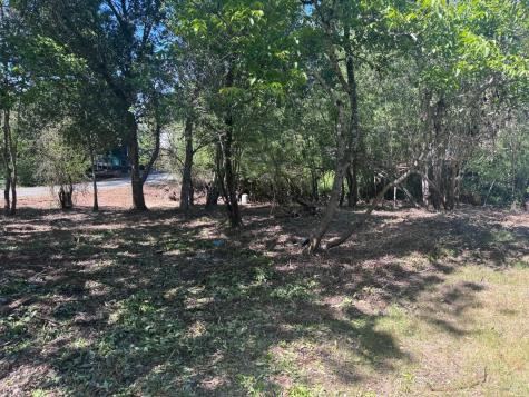 8822 Oak Grove Avenue Sebastopol CA 95472