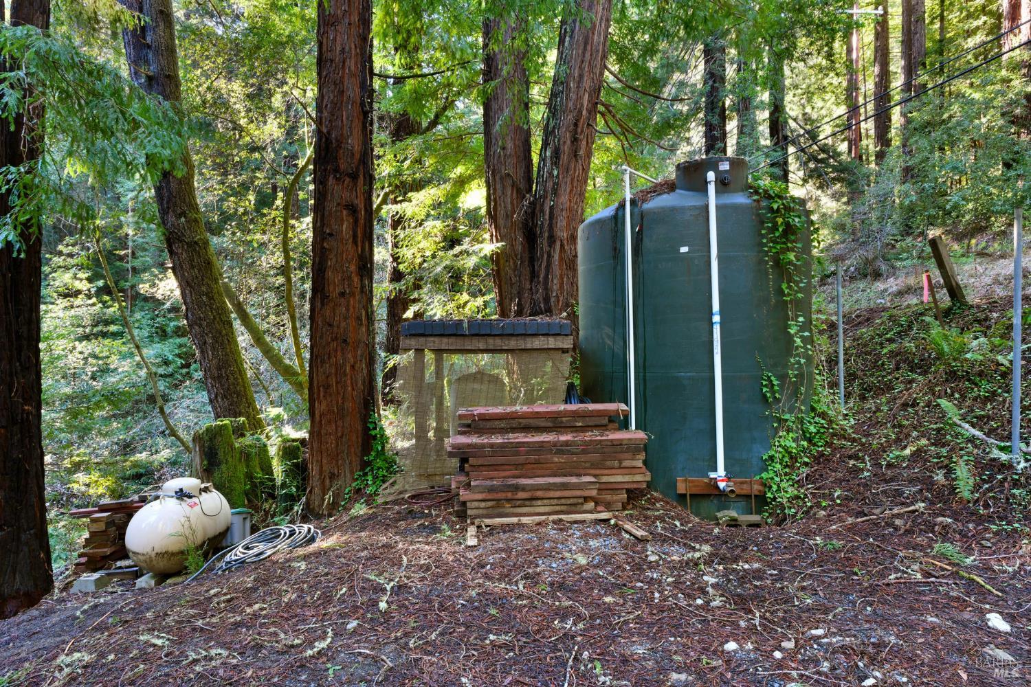 16125 Bittner Road Occidental CA 95465