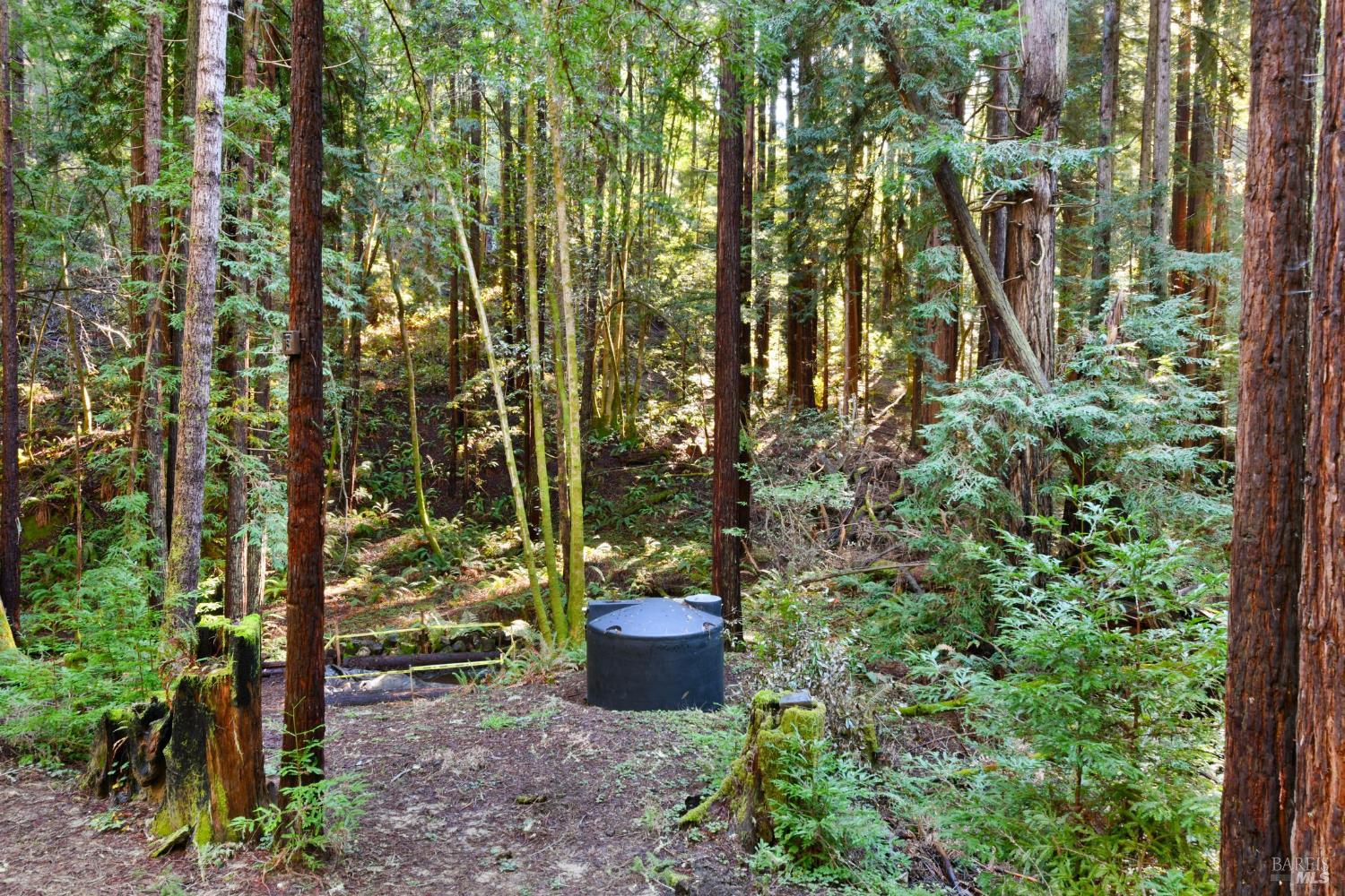 16125 Bittner Road Occidental CA 95465