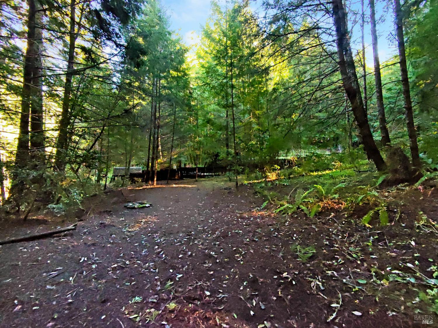 16125 Bittner Road Occidental CA 95465