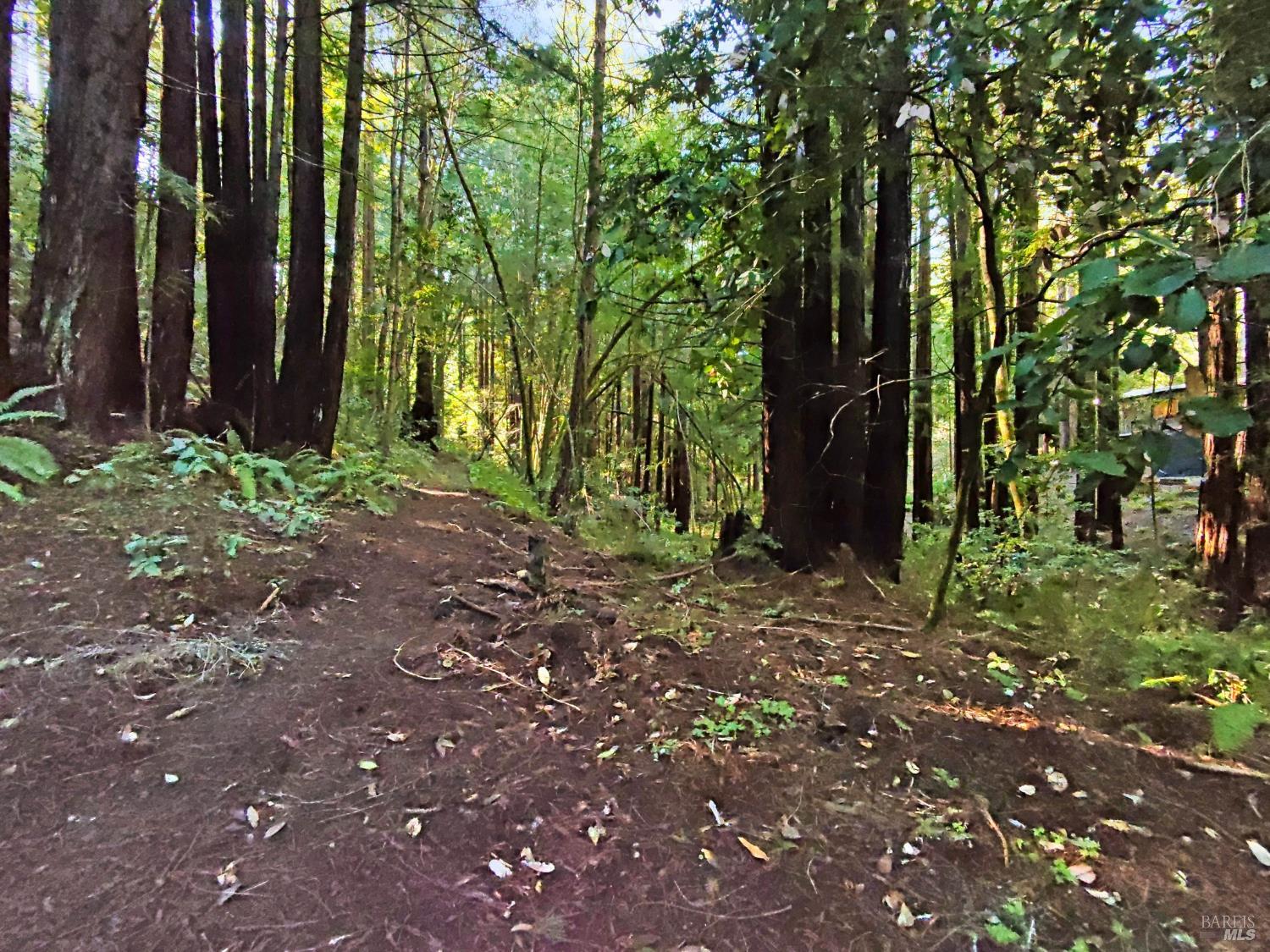 16125 Bittner Road Occidental CA 95465