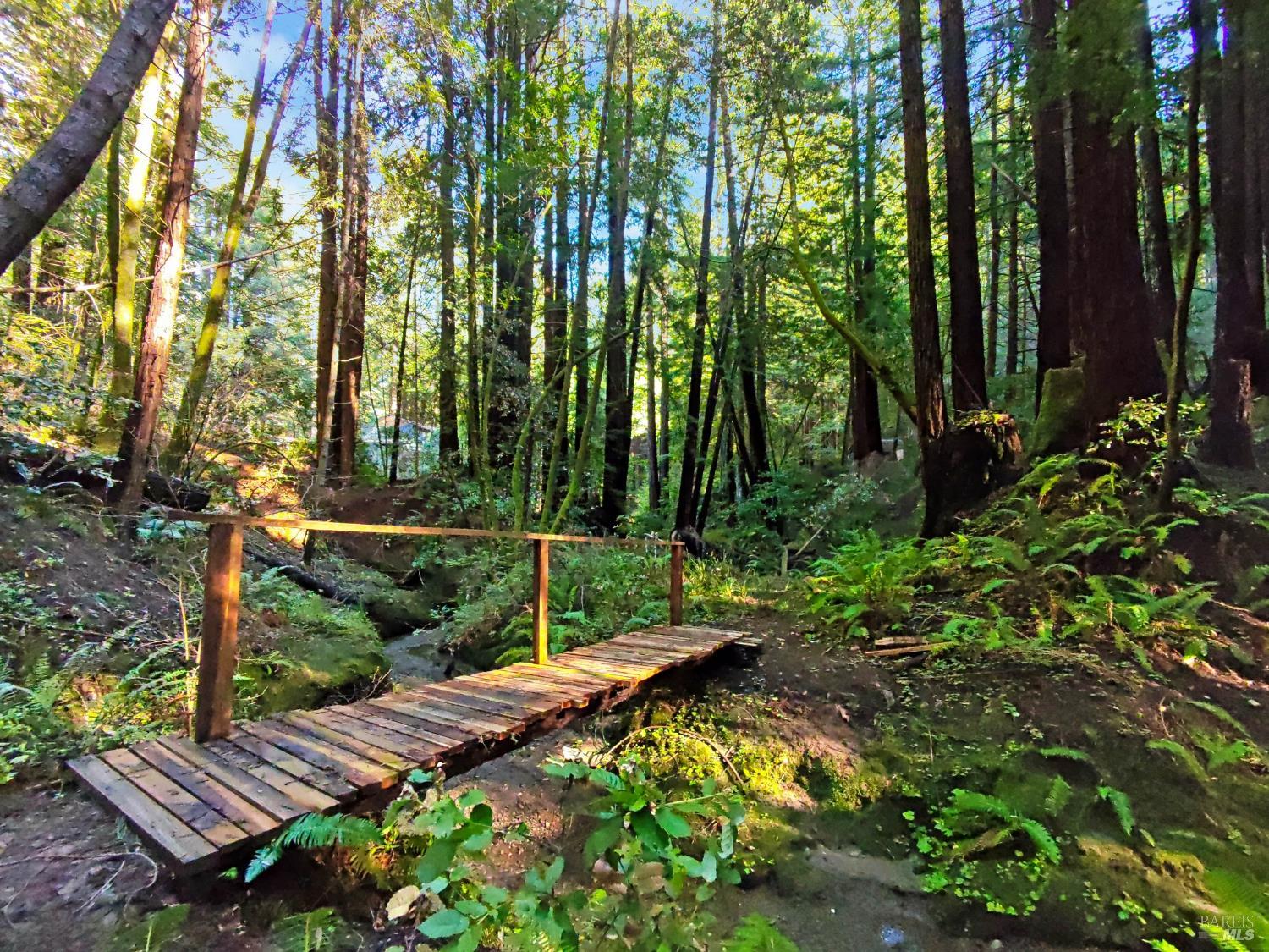 16125 Bittner Road Occidental CA 95465