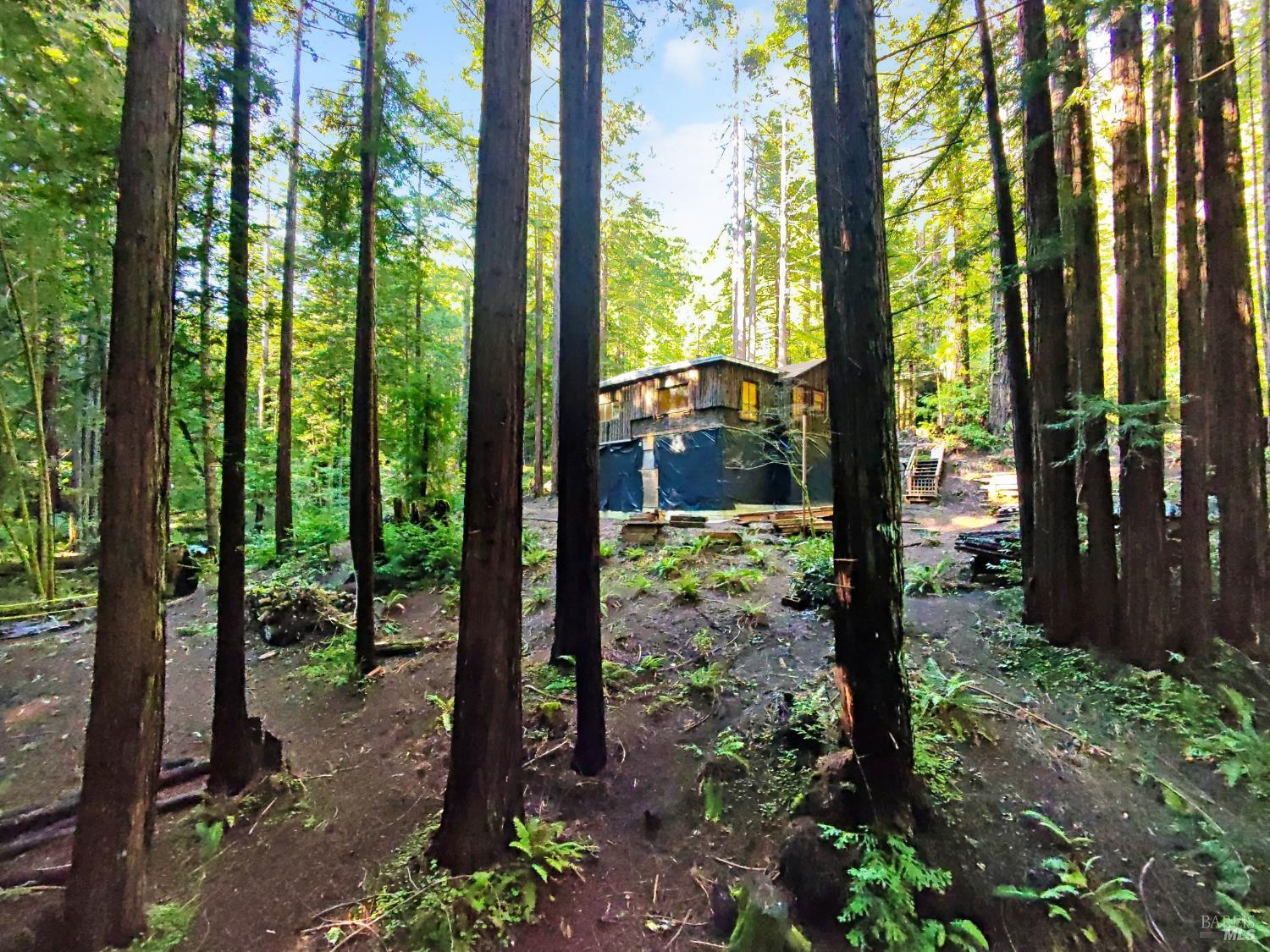 16125 Bittner Road Occidental CA 95465