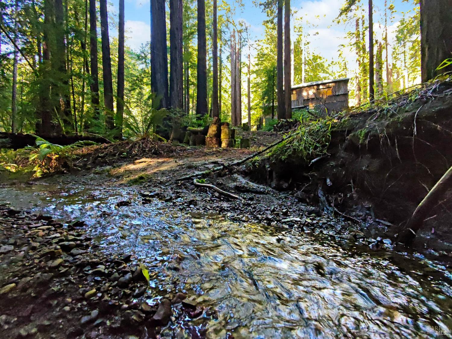 16125 Bittner Road Occidental CA 95465