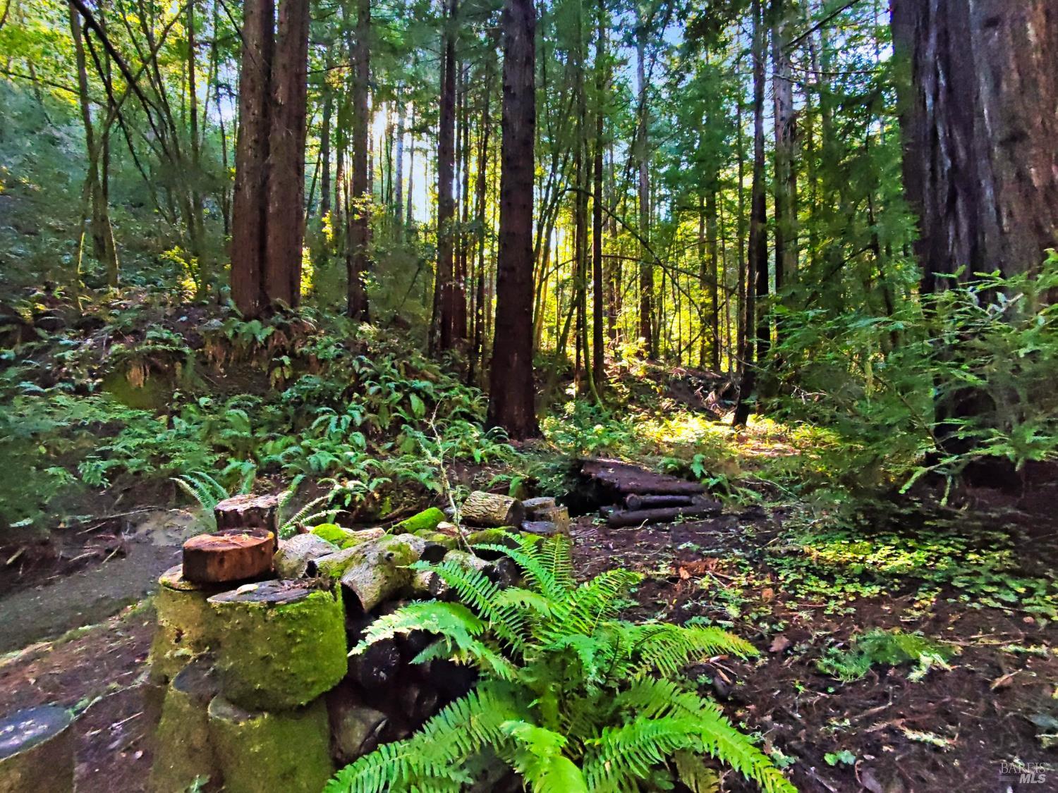 16125 Bittner Road Occidental CA 95465