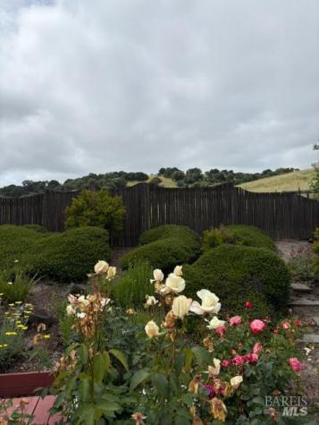 21222 Via Colombard Sonoma CA 95476