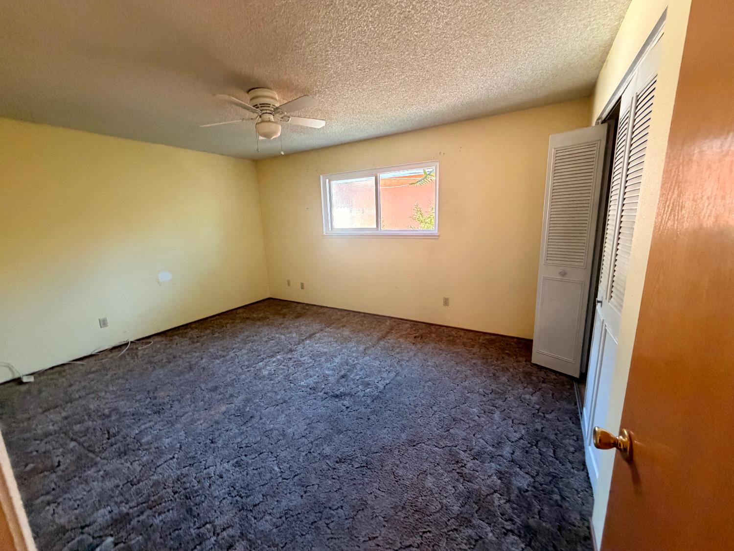 15883 Warfield Lathrop CA 95330