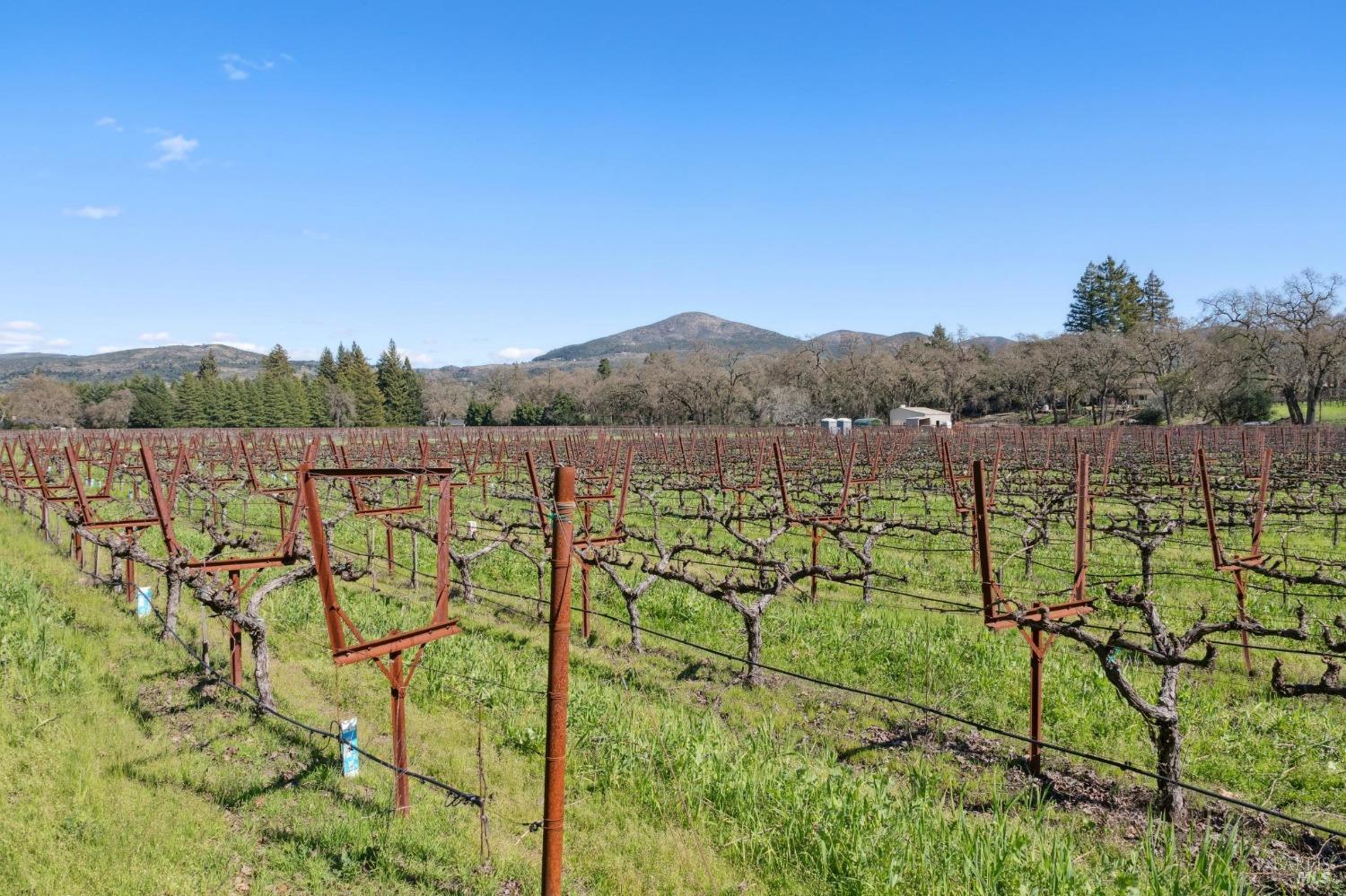 1180 Monticello Road Napa CA 94558