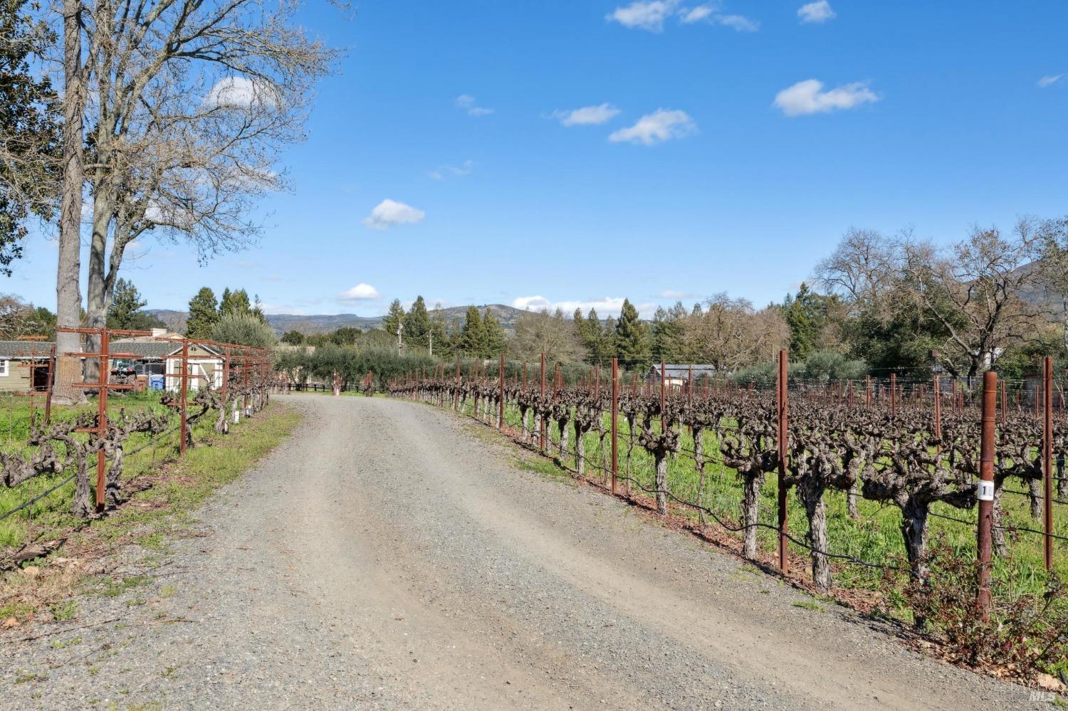 1180 Monticello Road Napa CA 94558