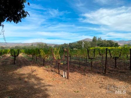 1180 Monticello Road Napa CA 94558