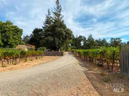 1180 Monticello Road Napa CA 94558