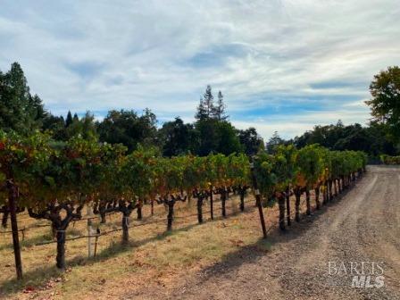 1180 Monticello Road Napa CA 94558