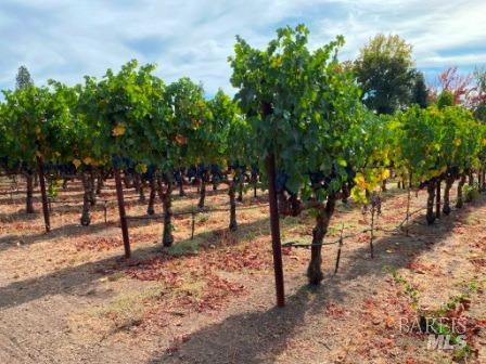 1180 Monticello Road Napa CA 94558