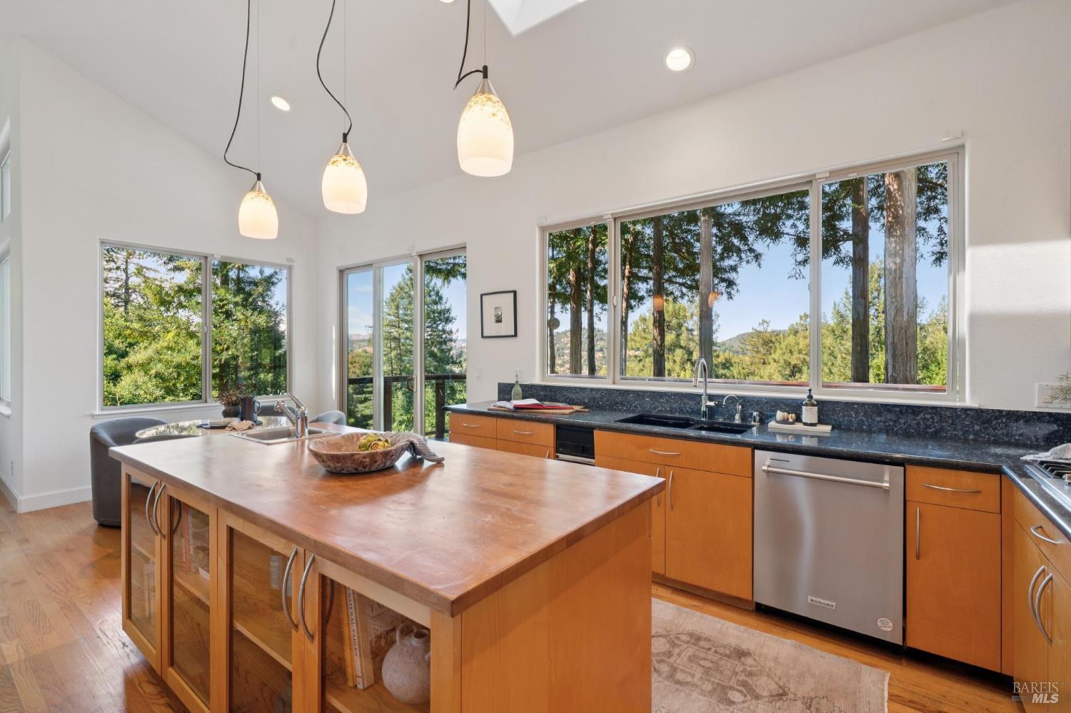 32 Meyer Road San Rafael CA 94901