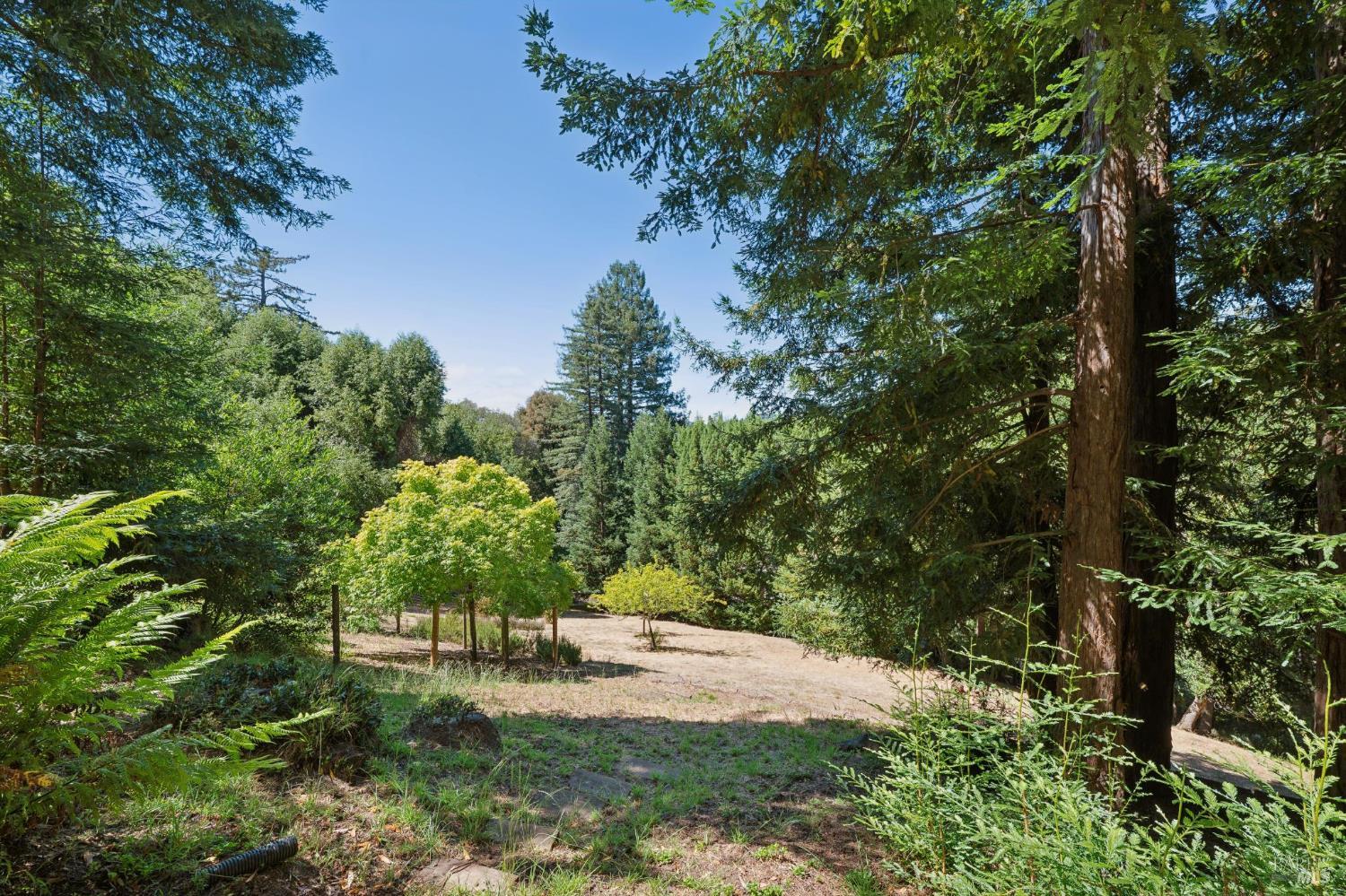 32 Meyer Road San Rafael CA 94901
