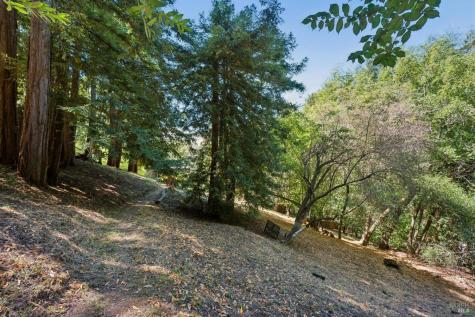 32 Meyer Road San Rafael CA 94901