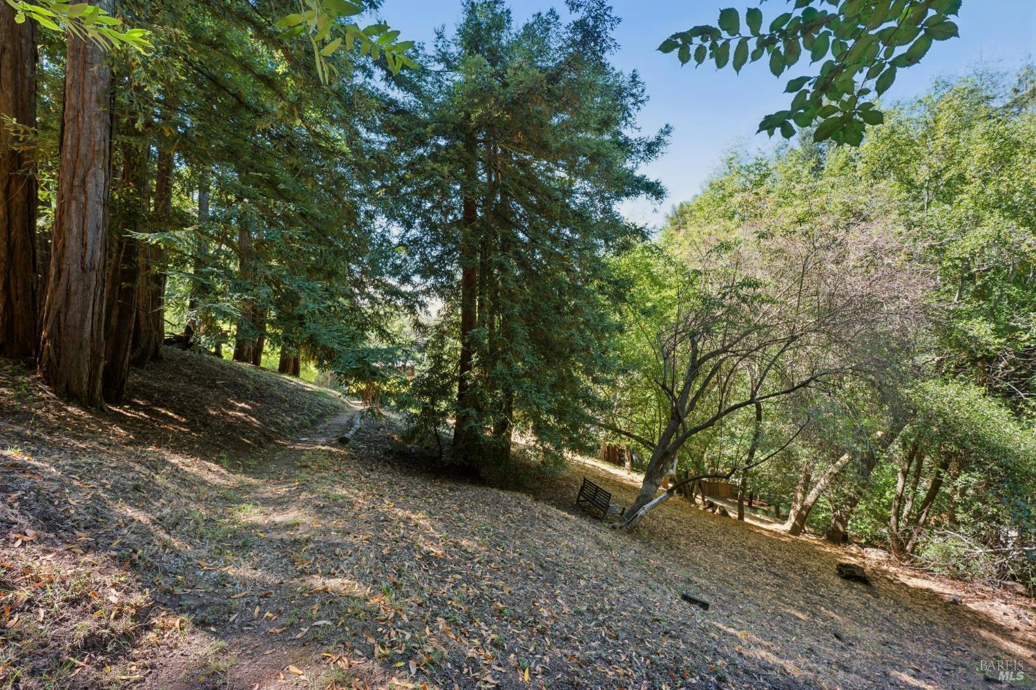 32 Meyer Road San Rafael CA 94901