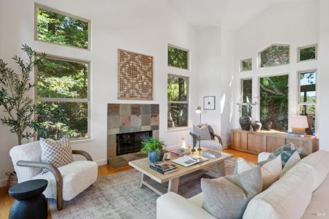 32 Meyer Road San Rafael CA 94901