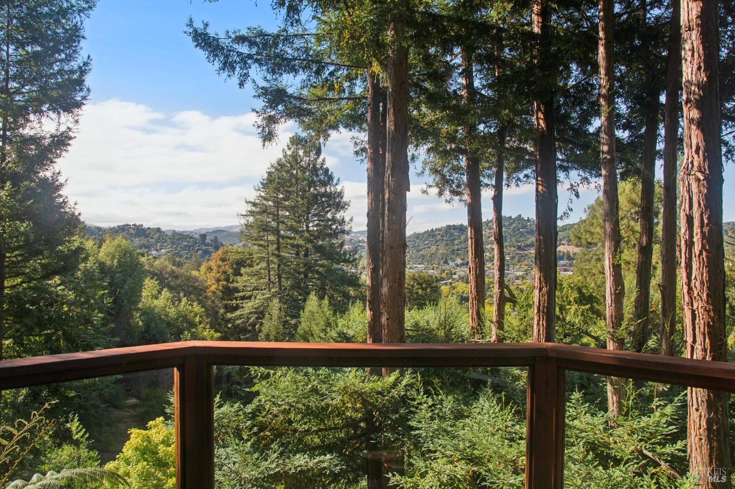 32 Meyer Road San Rafael CA 94901