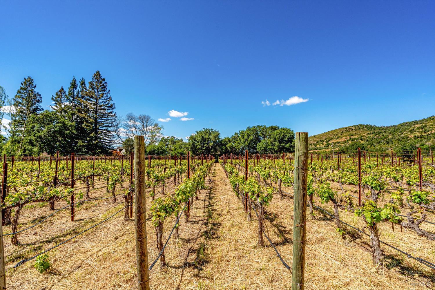 1040 Mount George Avenue Napa CA 94558