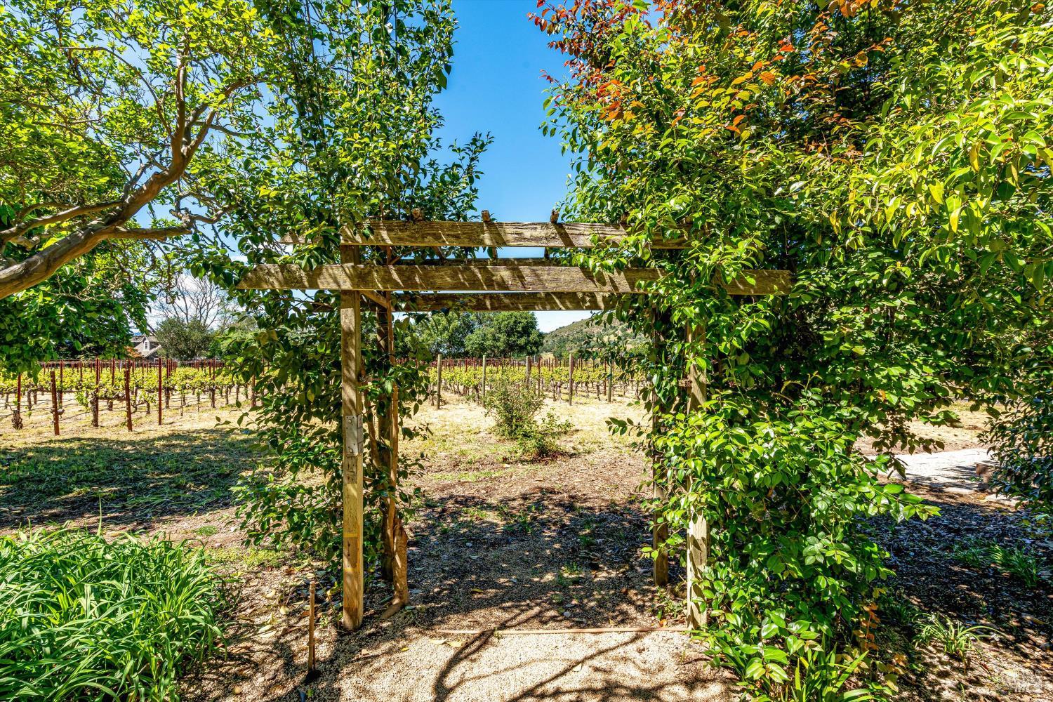1040 Mount George Avenue Napa CA 94558