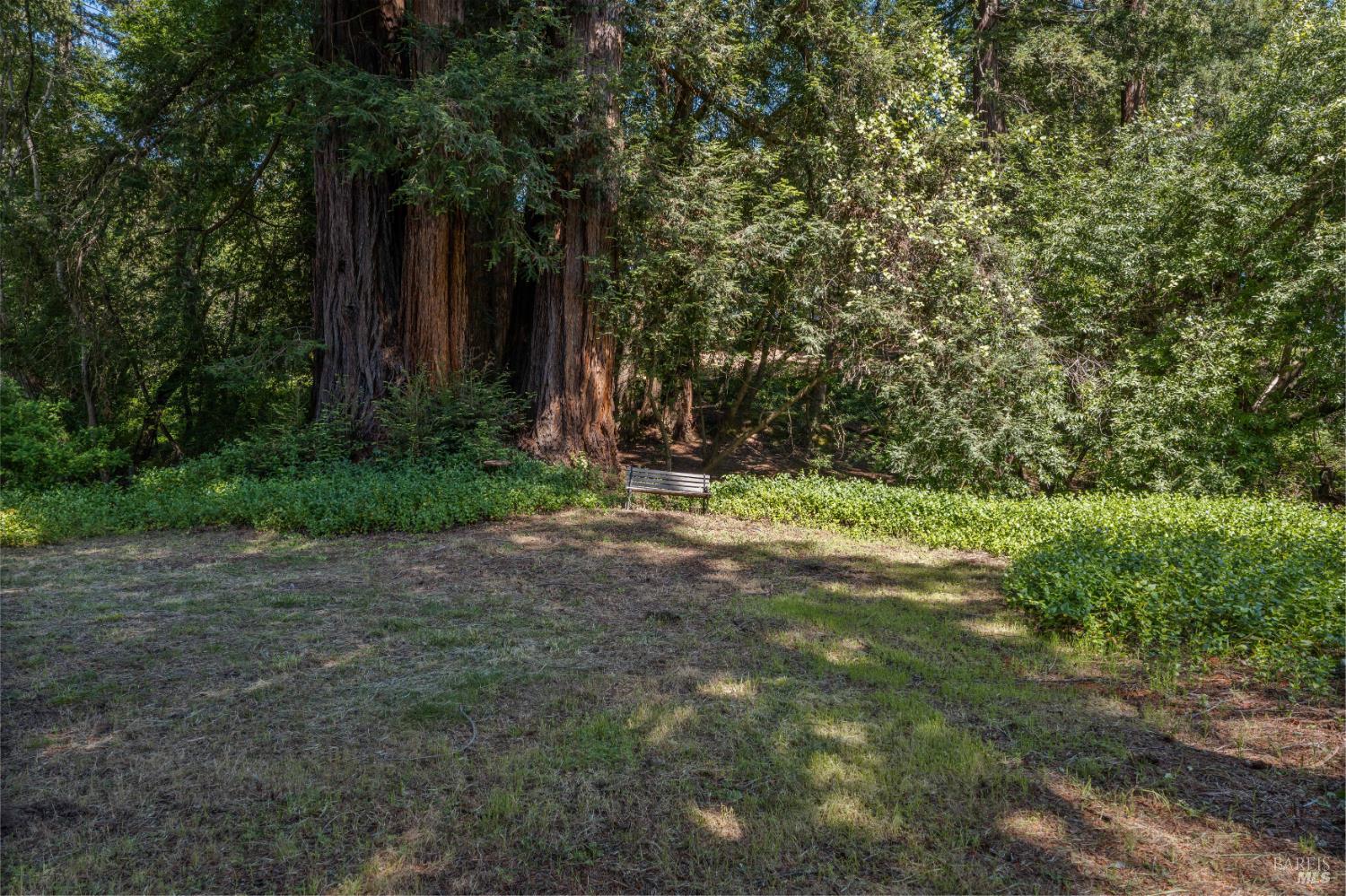 1122 W Standley Street Ukiah CA 95482