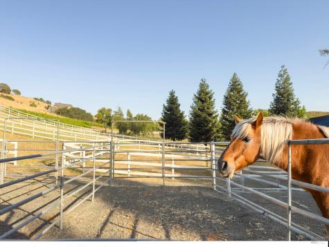 4560 Lovall Valley Loop Road Sonoma CA 95476