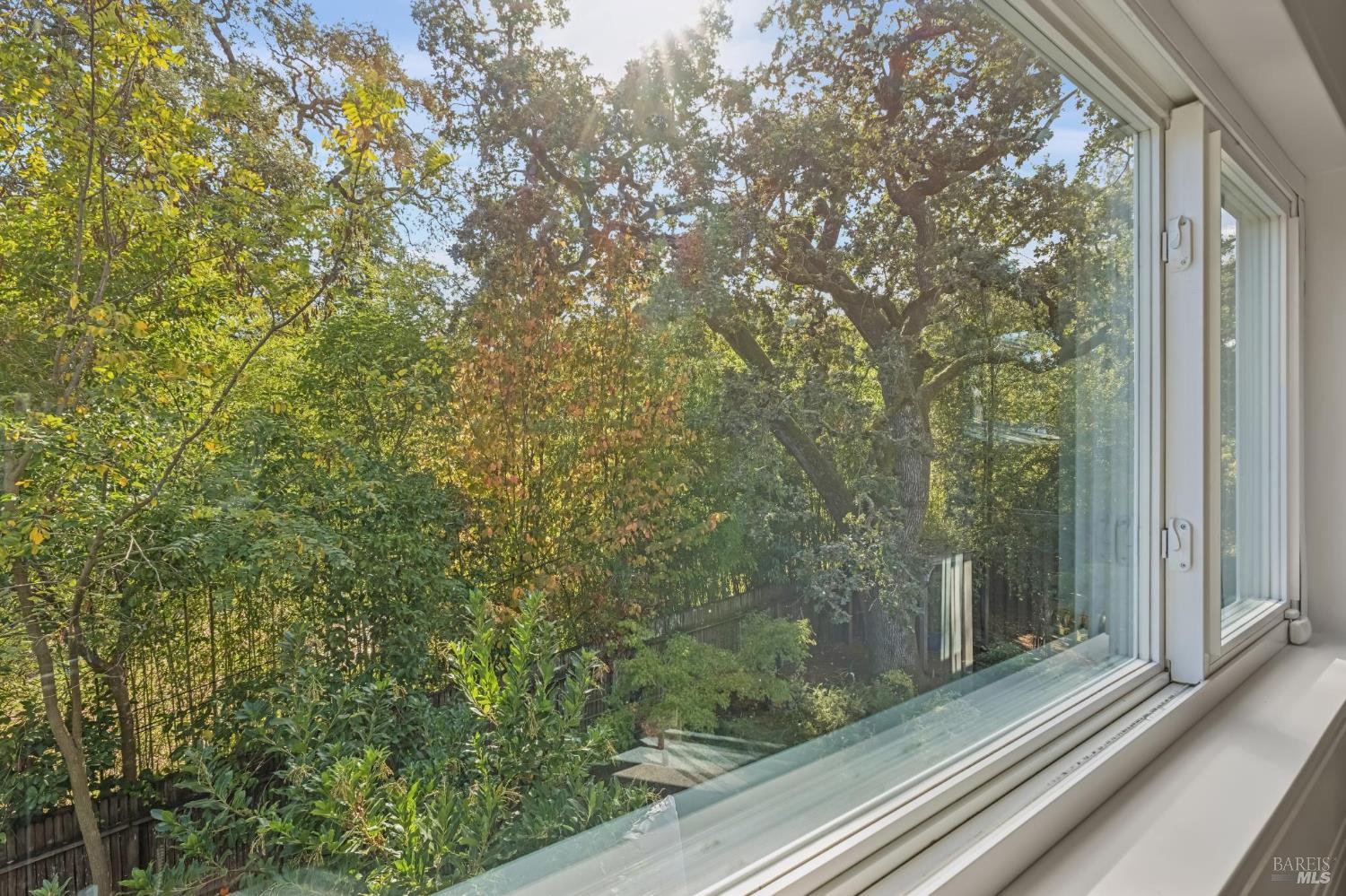 1649 San Anselmo Avenue San Anselmo CA 94960