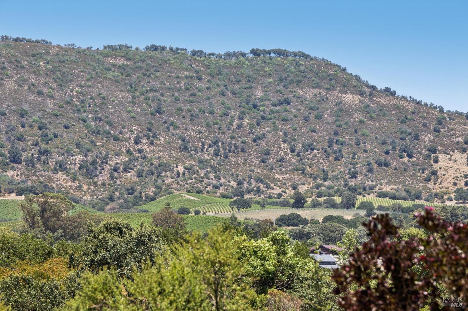 21725 Burndale Road Sonoma CA 95476