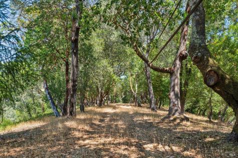 10 Fawn Ridge Fairfax CA 94930