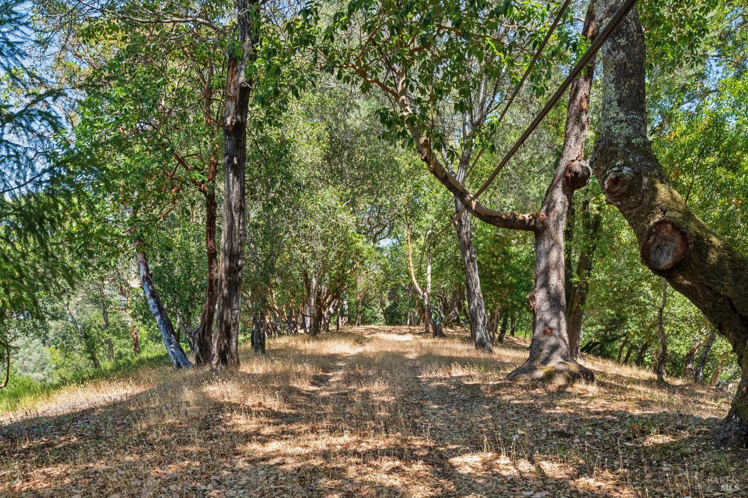 10 Fawn Ridge Fairfax CA 94930